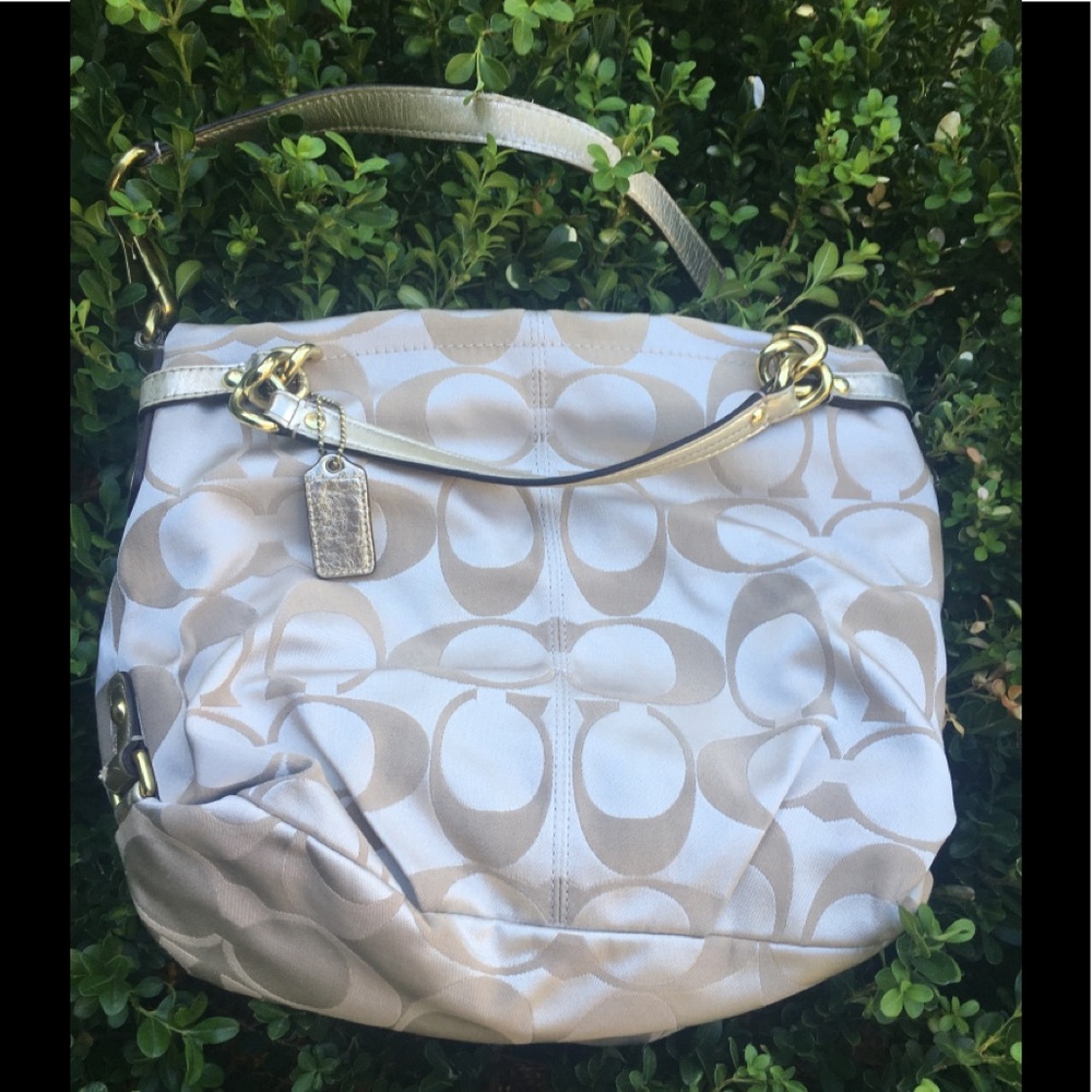 🟪 Coach purse